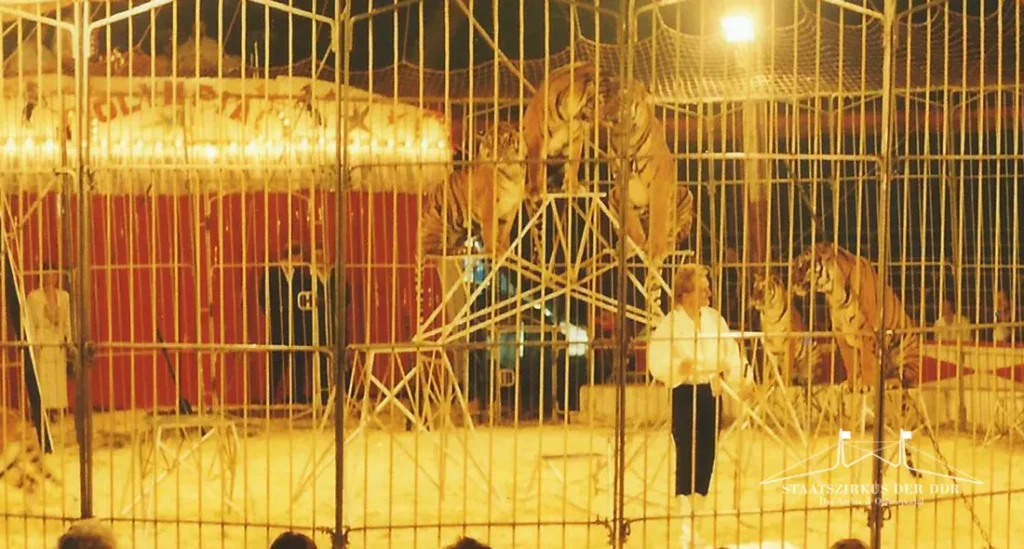 Tigerdressur von Ulf van Hagen im Zirkus Olympia