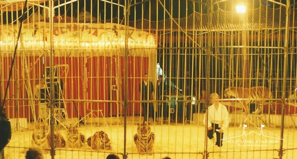 Tigerdressur von Ulf van Hagen im Zirkus Olympia